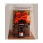 Exprimidor De Naranjas semi Industrial Henkel 2000MS-A