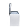 Congeladora Coldex 251LT CH10PLUS blanco